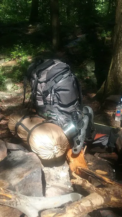 Weiser State Forest (Halderman Tract) Campsite H4 Tract) 3