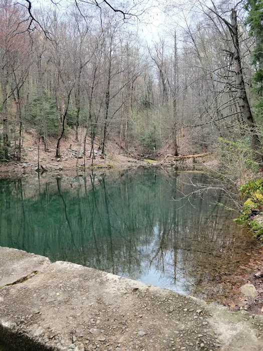 Weiser State Forest (Halderman Tract) Campsite H4 Tract) 8
