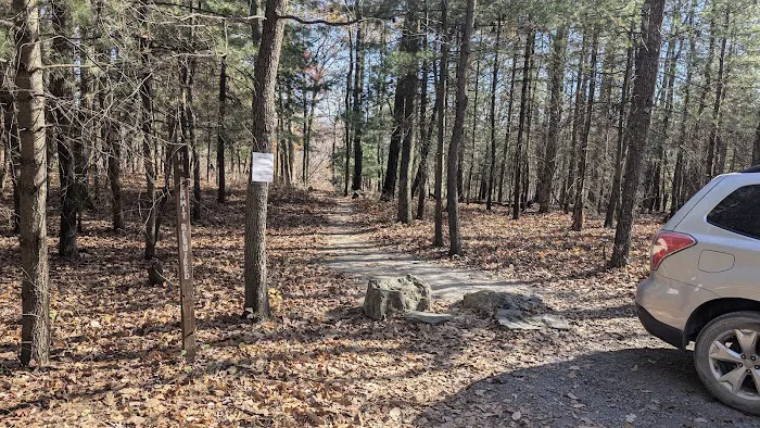 Weiser State Forest (Halderman Tract) Campsite H4 Tract) 9