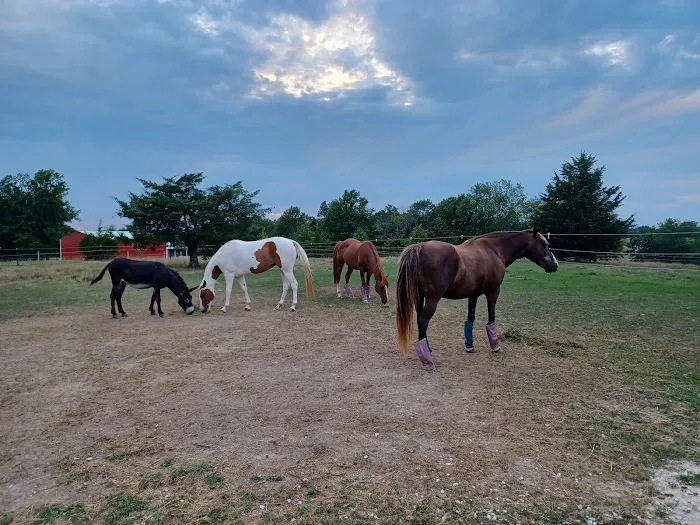 Double Hearts Ranch 0