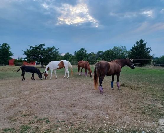 Double Hearts Ranch