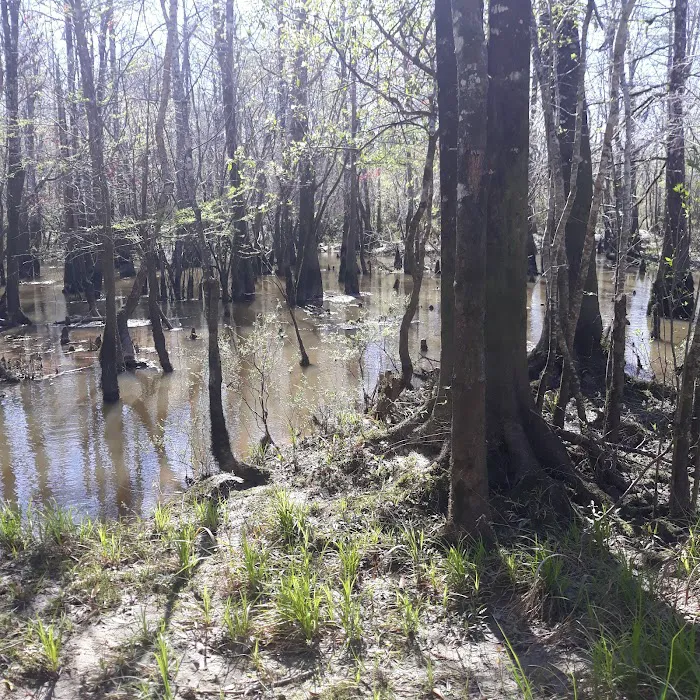 Webb Landing 3