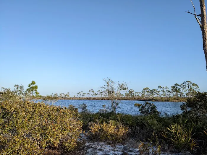 Big Lagoon State Park Campground 4