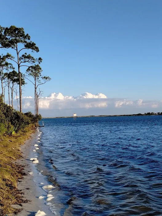 Big Lagoon State Park Campground 8