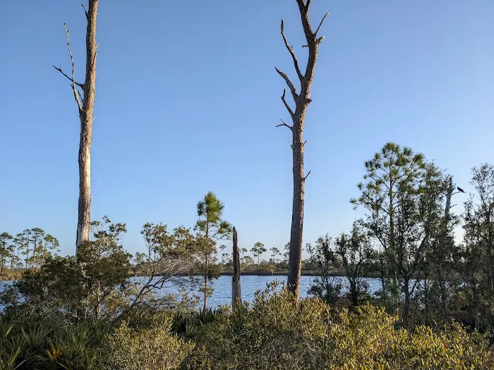 Big Lagoon State Park Campground 2