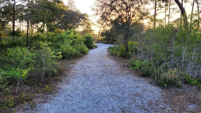 Big Lagoon State Park Campground 3