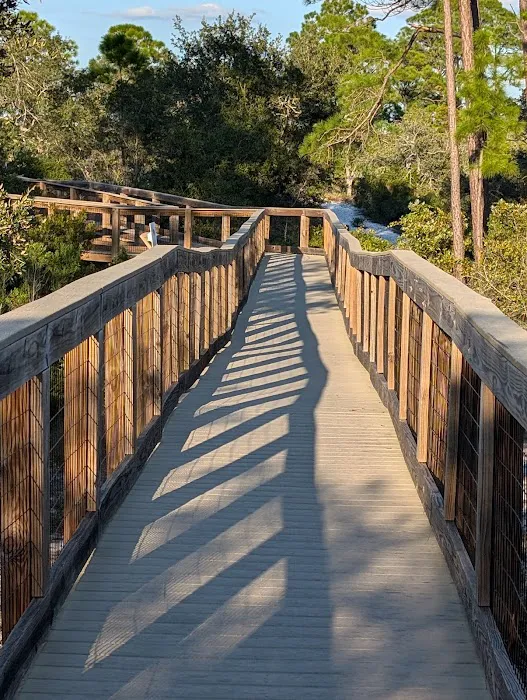 Big Lagoon State Park Campground 6