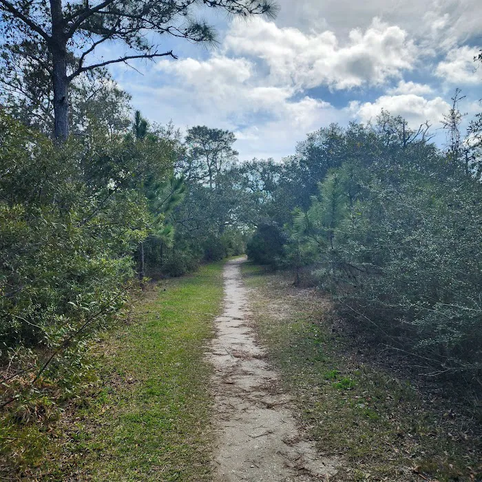 Fort Pickens Campground Loop A 5