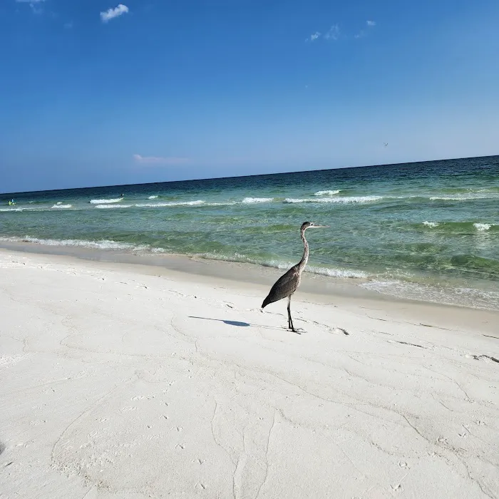 Fort Pickens Campground Loop A 7