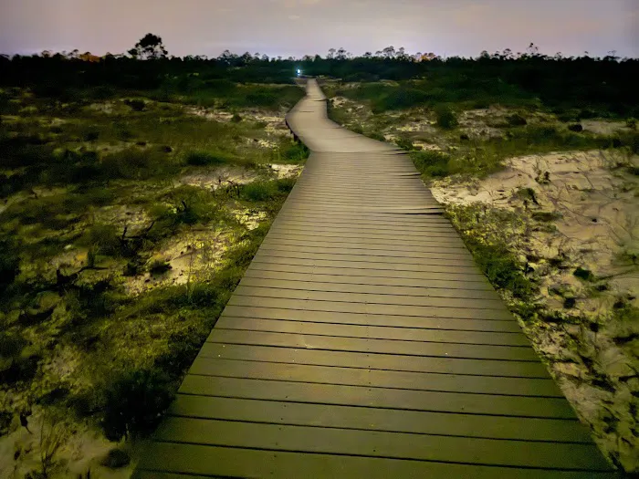 Fort Pickens Campground Loop A 9