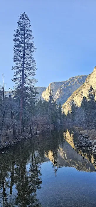 Valley Shuttle Stop #15: Upper Pines Campground 4