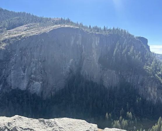 Valley Shuttle Stop #15: Upper Pines Campground