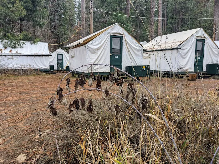 Valley Shuttle Stop #15: Upper Pines Campground 2