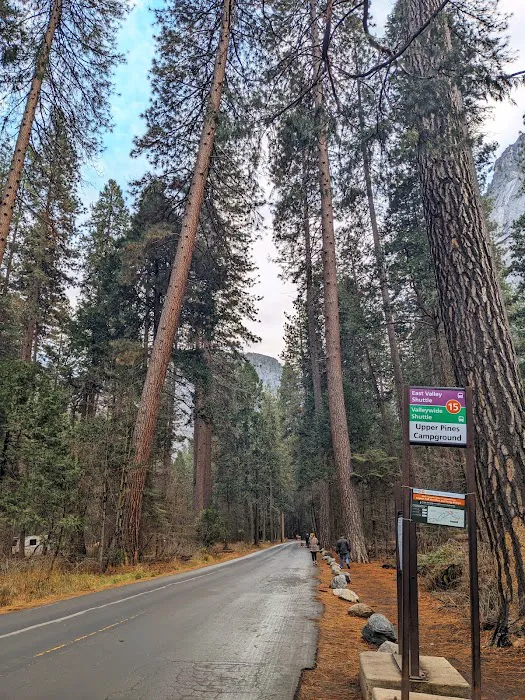 Valley Shuttle Stop #15: Upper Pines Campground 1