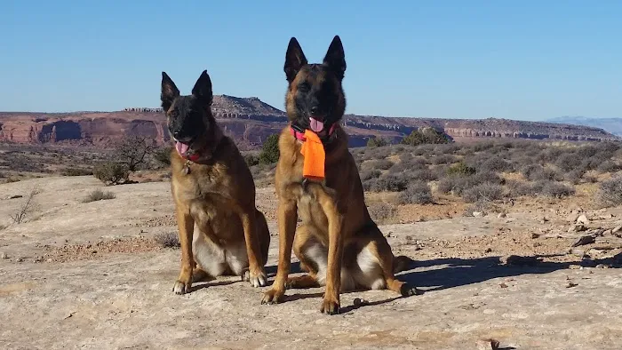 Lone Mesa Group Campground 9