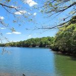 Thousand Trails Carolina Landing