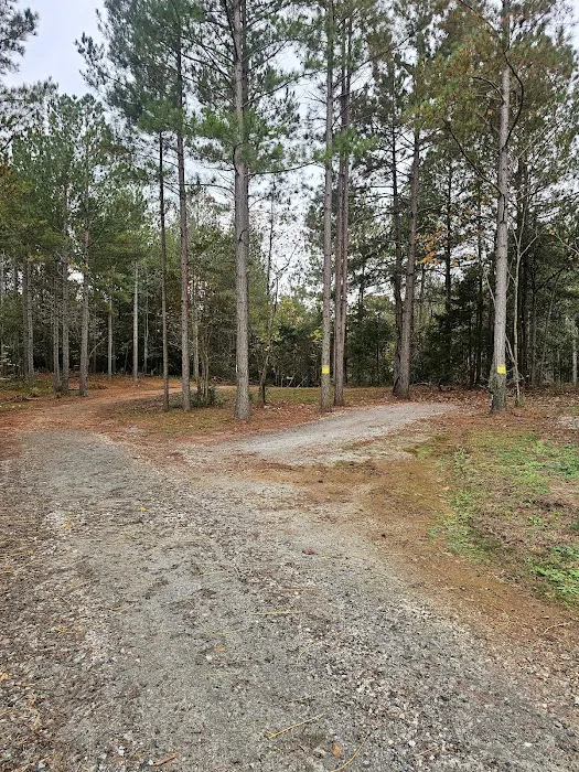 Trails 2 Paradise RV Park 6