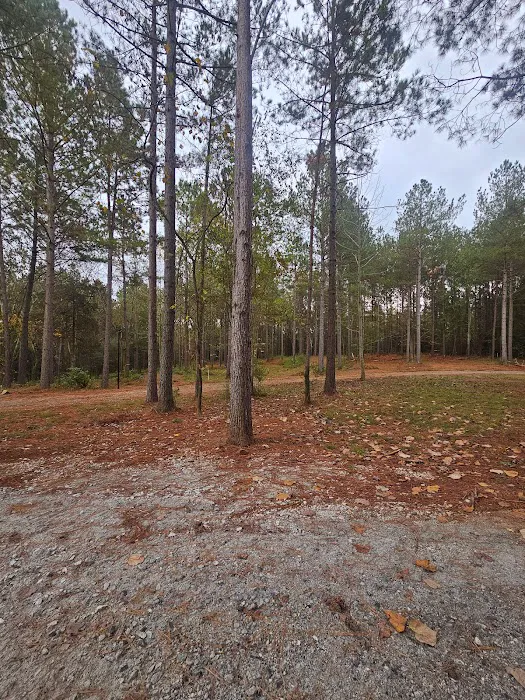 Trails 2 Paradise RV Park 4