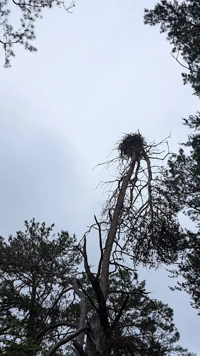 Tugaloo island 4
