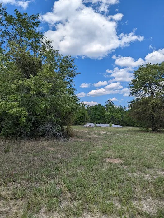 Yamacraw Campground Yuchi WMA 2