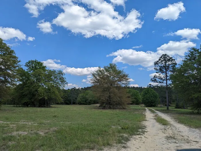 Yamacraw Campground Yuchi WMA 1