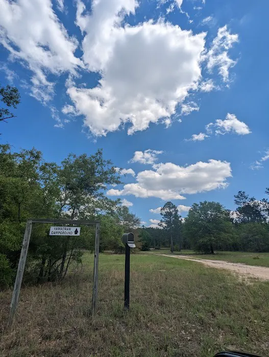 Yamacraw Campground Yuchi WMA 3