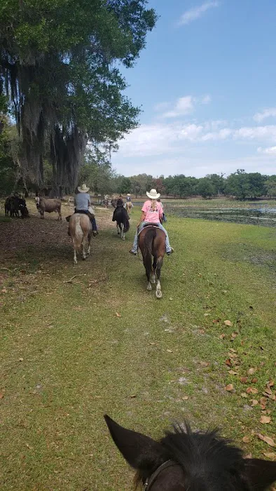 Seminole Wind Ranch 4