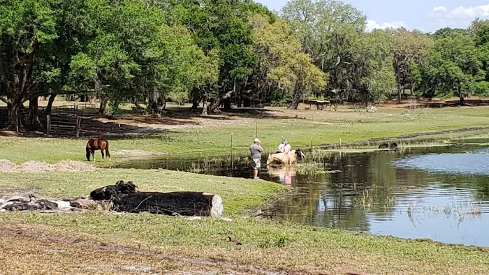 Seminole Wind Ranch 5