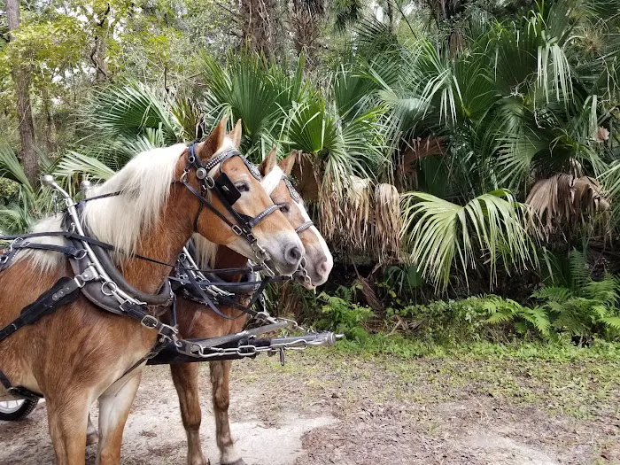 Seminole Wind Ranch 8