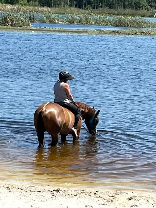 Seminole Wind Ranch 7