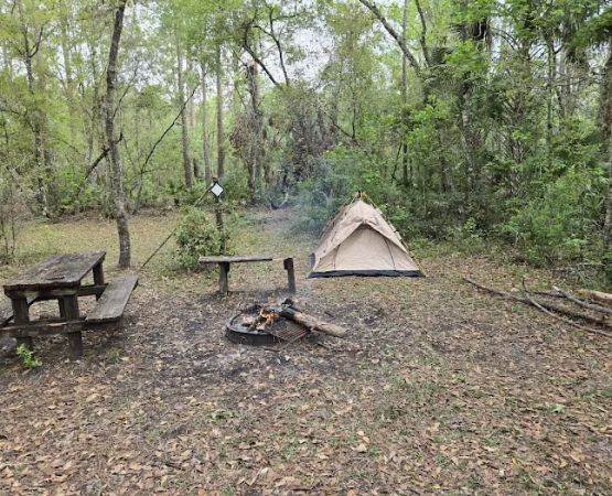 SWFWMD Trial Ford Camp