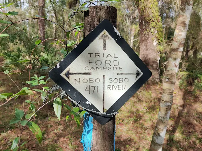 SWFWMD Trial Ford Camp 8