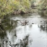 Hillsborough River State Park Campground
