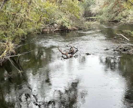 Hillsborough River State Park Campground