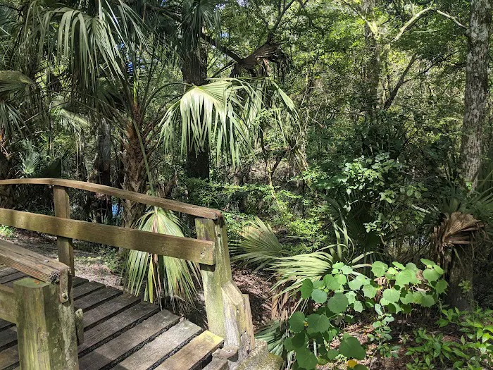 Hillsborough River State Park Campground 5