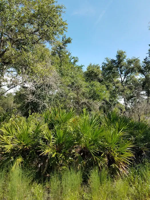 Hillsborough River State Park Campground 8