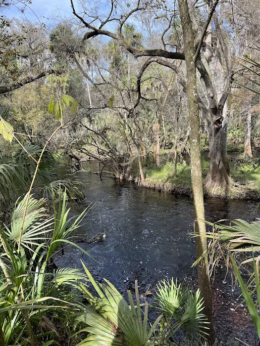 Timberline Glamping at Hillsborough River 3