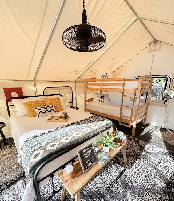 Timberline Glamping at Hillsborough River 9