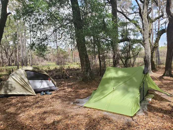 FNST Foster Bridge Campsite (Backcountry) 1