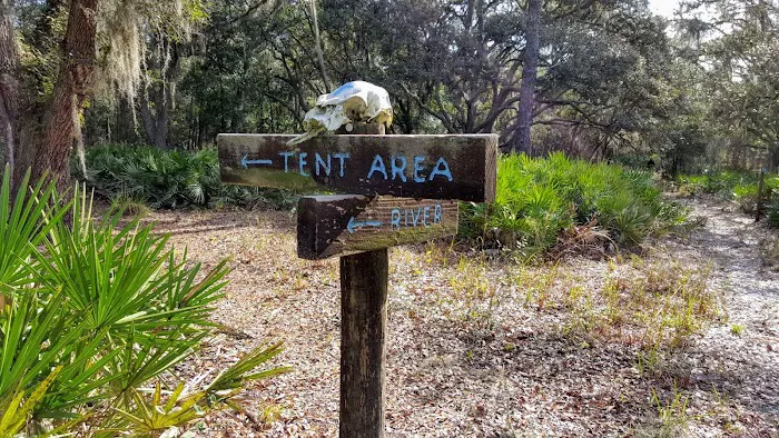 FNST Foster Bridge Campsite (Backcountry) 7