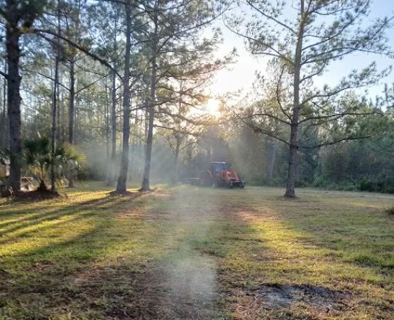 Oakridge Equestrian Campground