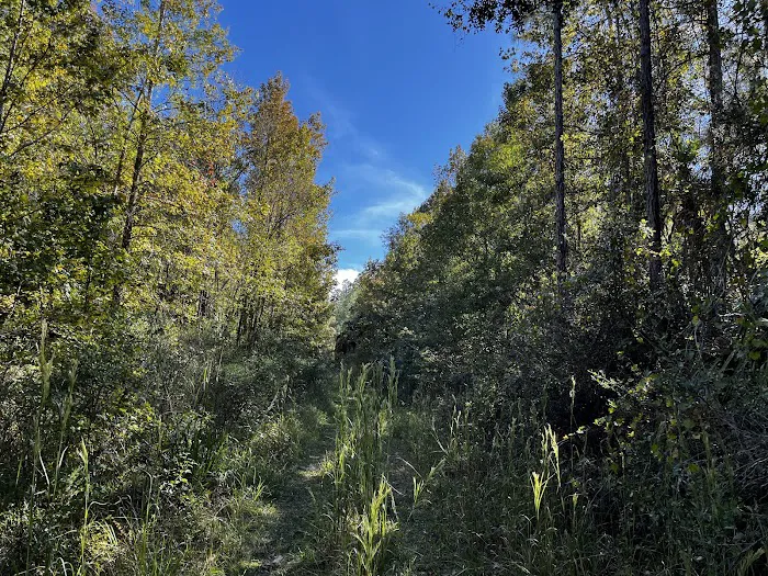 Oakridge Equestrian Campground 1