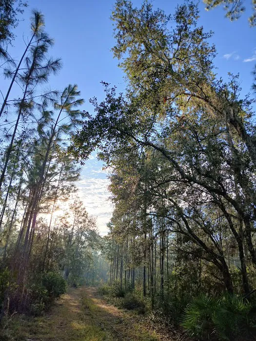 Oakridge Equestrian Campground 6