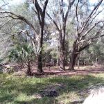 Washburn Equestrian Area