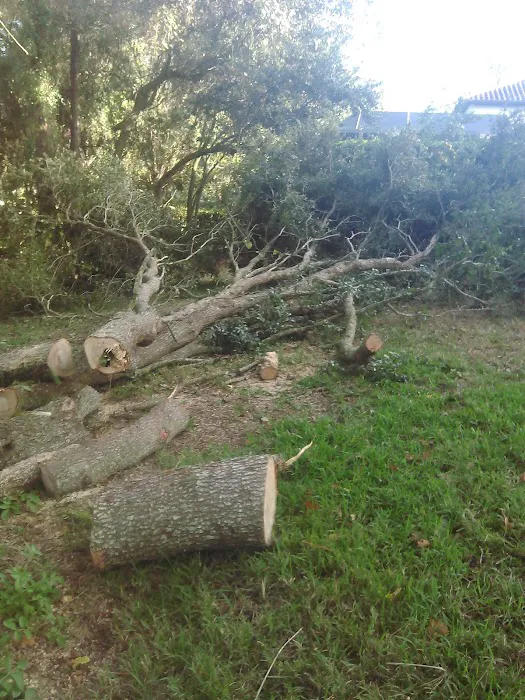 Tampa Bay Baptist Conference Center Picture 9