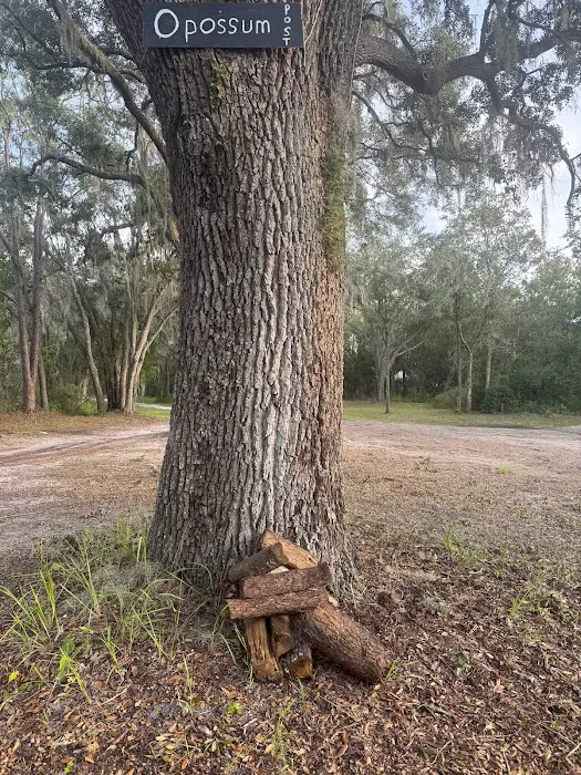 Myrtle Oaks Campground 1