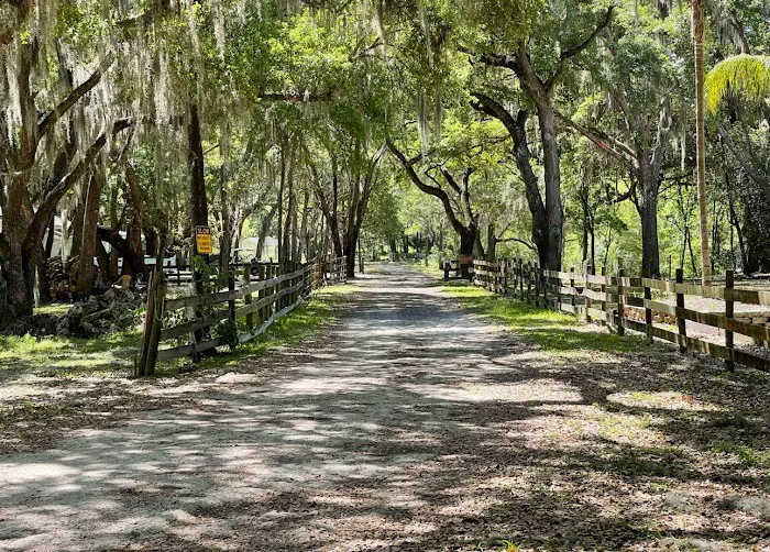 Myrtle Oaks Campground 2