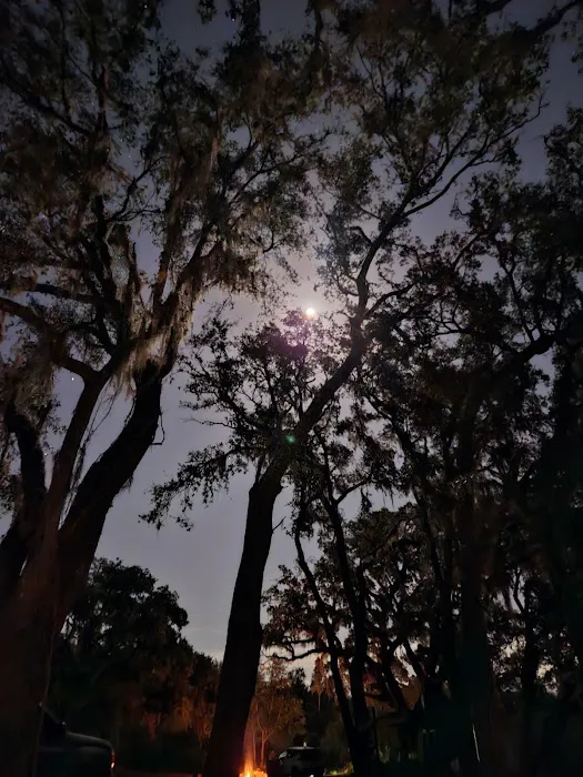 Myrtle Oaks Campground 6