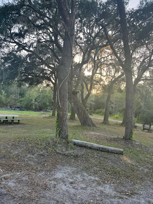 Myrtle Oaks Campground 7