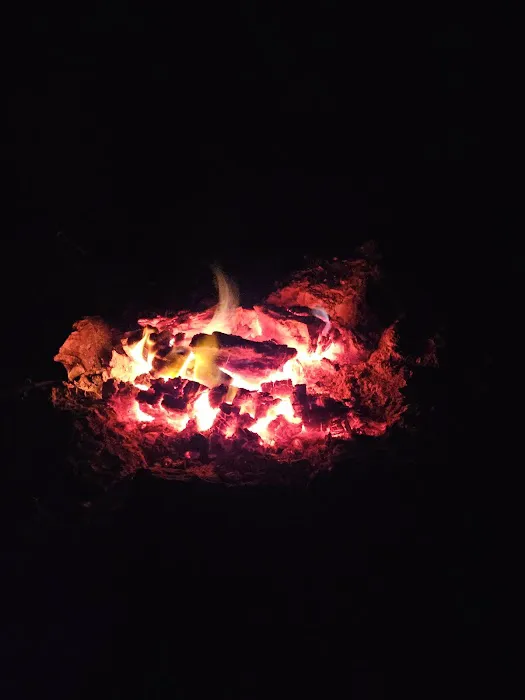 Myrtle Oaks Campground 9